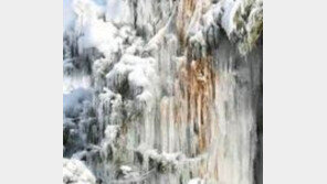 올겨울 최강한파…‘서울 -12도’ 추위 언제 까지? “26일 낮 부터 영상권 회복”