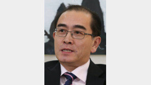 “태영호 2월 방미… 대북제재 호소”