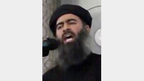 “IS 지도자 바그다디, 폭격으로 중상”