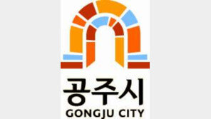 [2017 제3회 한국산업대상]탁월한 리더십-창의적 서비스로 공주시 미래 열어 