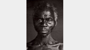 美 대학들 “흑인 탄압 과거 반성합니다”