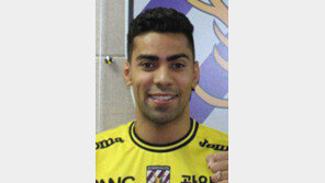 K리그 12경기서 9골… 전남 자일 13R MVP