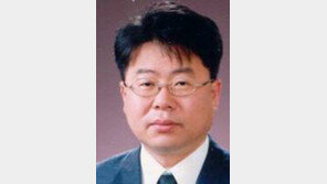 [내 생각은/강경태]인도네시아 시장을 주목하자