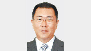 정의선 중국행… 사드위기 점검