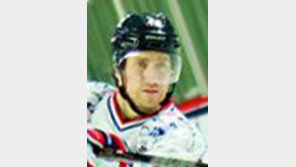 아이스하키 대명, NHL 경력 맷 멀리 영입