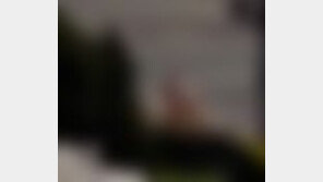 누드펜션 처벌근거 없어 누리꾼 대안제시 “매일 둘러싸서 구경하라”