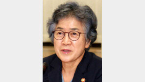 “교수-언론인 해외연수 지원, 法저촉 안돼”