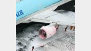 대한항공 여객기 엔진 이상으로 회항, 승객 내린 후 정비 중 화재