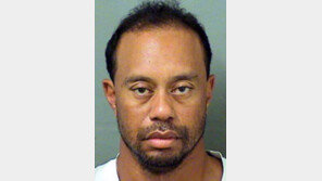 우즈 혈액검사 결과 마리화나 성분 검출