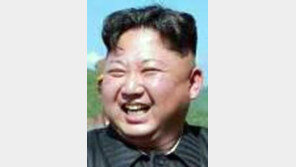 ‘맨유 광팬’ 김정은 “EPL 北선수 넘칠것”