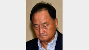 ‘히딩크 역할’ 대답 없는 메아리