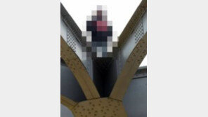 한강대교 투신 소동 60대 男 “소록대교 불량납품 처벌해야” 