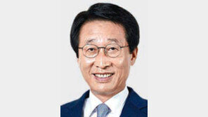 [2017 KCSI 우수기업]안전-서비스 ‘매우 우수’ 국적 항공사