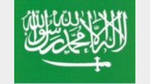 사우디 왕자 잇단 의문의 죽음…헬기 추락으로 숨진 만수르 누구?