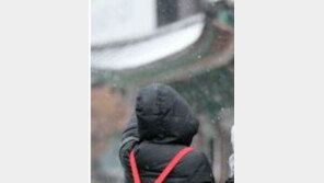 서울 성북·은평 등에 첫눈 관측…공식 첫눈 기록 안되는 이유는?