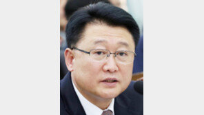 靑, 이철성 경찰청장 교체설 일축