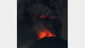 발 묶였던 발리 여행객들 특별기로 귀국 “한국 땅 밟게 돼 눈물 나요”