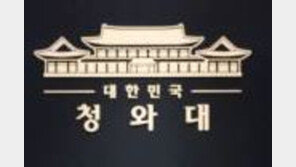 푸틴 평창 올림픽 보이콧 안해…靑 “걱정했다, 최악 피해 다행”