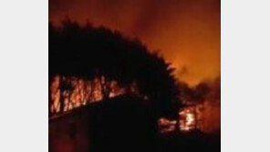 울산 산불, 나무 우거지고 초속 4m 강풍 불어 진화 어려워