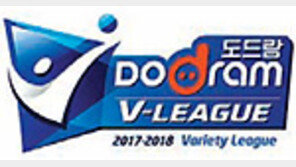 튀는 공격수 없어도 튀는 도로공사