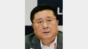 “올 OLED 280만대 판매… POLED도 자신”