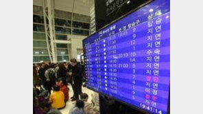 [속보]제주공항 "활주로 정상화… 항공기 운항 재개"