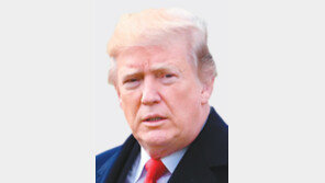 “형제들 비하 트럼프는 슈퍼버그” vs “내 정책 덕분에 흑인실업률 최저”