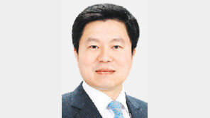 금성백조주택 사장에 정대식씨