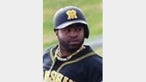 “로사리오 타격 기술, 한신 역대 용병 최고”