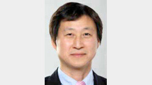 [오늘과 내일/이철희]왜 매번 ‘평양 정상회담’인가