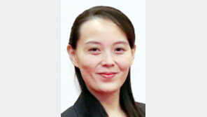 “北, 대미특사로 김여정 보낼수도” 