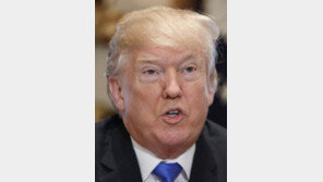 시리아서 발빼는 트럼프 “재건예산 동결”… 미군 철수도 거론