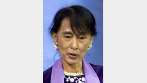 로힝야 인종청소, 페북이 증오 불질러