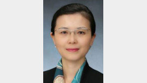 [동아광장/차진아]토지공개념의 패러독스