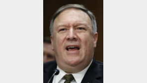 폼페이오 “트럼프-김정은 비핵화 포괄합의? 그건 환상”