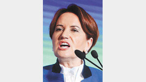 “에르도안 술탄 등극 저지”… 터키 ‘철의 여인’