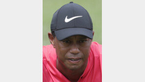 우즈, 점점 트로피 가까이