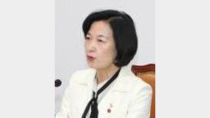 추미애 “북미정상회담 사흘만에 재추진, 2차 남북정상회담이 결정적 역할”