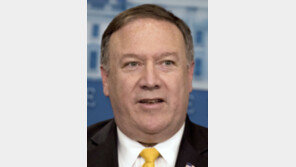 폼페이오 “北체제보장, 의회서 비준 받아 지속성 갖게 할것”