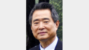 [기고/김동진]유관순 열사의 ‘독립장’ 재심은 불가한가?