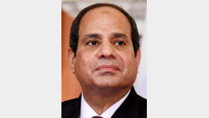 “팔로어 5000명땐 규제” 이집트 SNS 통제