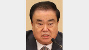 문희상 “촛불혁명 제도적 완성은 개헌”