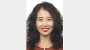 [동아광장/김소영]나는 혁신에 반대한다