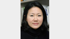 [기고/박진아]상권 내몰림, 공공의 역할이 필요할 때