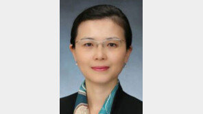 [동아광장/차진아]선거제도 개혁의 성공조건 