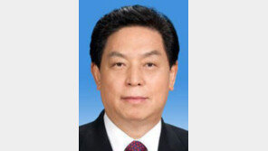 中 서열3위 리잔수, 시진핑 대신 방북