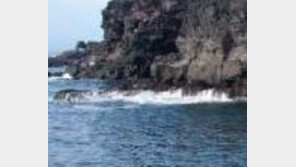 마라도 선착장서 관광객 2명 너울성 파도에 휩쓸려 사망