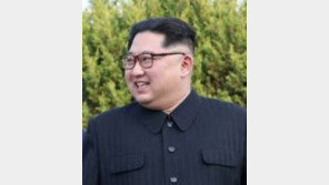 [속보]김정은 “핵무기·핵위협 없는 땅 만들자”…비핵화 의지 확약