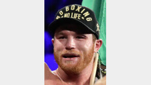 ‘쇠주먹’ 골롭킨 시대 저무나… 알바레스와 리턴매치 판정패