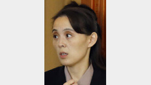 “김여정, 4·27 판문점회담 직전 출산”